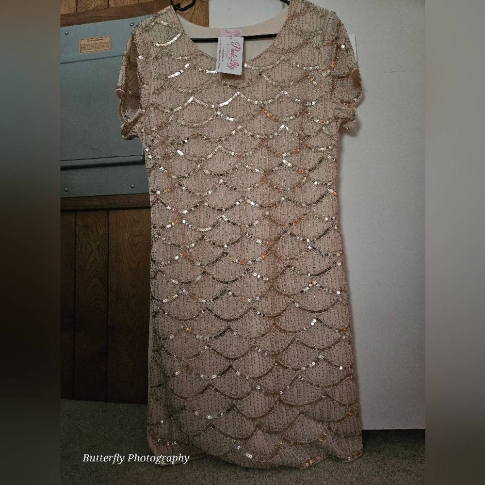 NWT Pink Lily Cream and Gold Round Neck Flutter Sleeve Dress Sz Medium